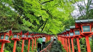 貴船神社|縁結びと水の神様に出会う旅 基本情報と境内案内