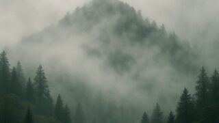 【世界遺産】比叡山の静寂に包まれて　祈りの聖地・延暦寺（えんりゃくじ）
