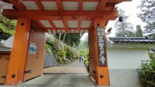宇治・三室戸寺で花とご利益めぐり 基本情報と境内のみどころガイド