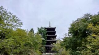 【世界遺産】仁和寺で出会う、桜と歴史のひととき