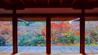 【世界遺産】高山寺と鳥獣戯画　紅葉に包まれる癒しの山寺