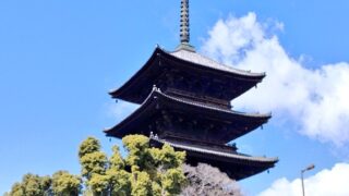 【世界遺産】空海ゆかりの東寺で、心おだやかなひとときを