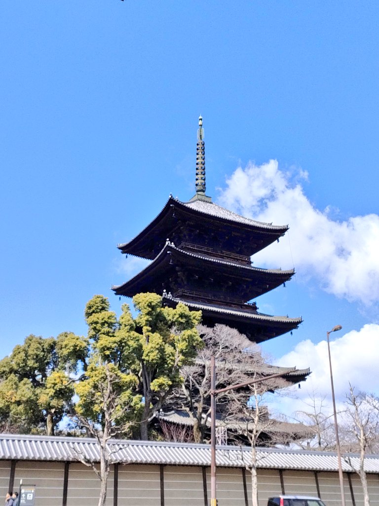 東寺（とうじ）｜空海ゆかりの世界遺産で、心おだやかなひとときを