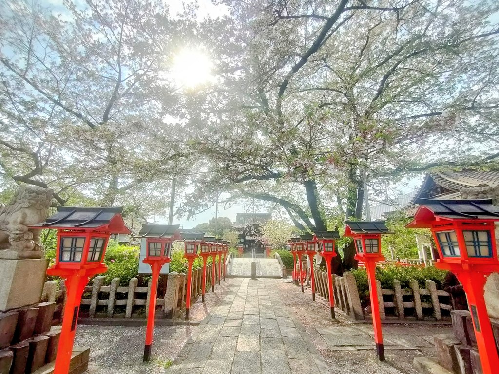 【静けさに包まれるご利益詣で】六孫王神社で、源氏のはじまりにふれる